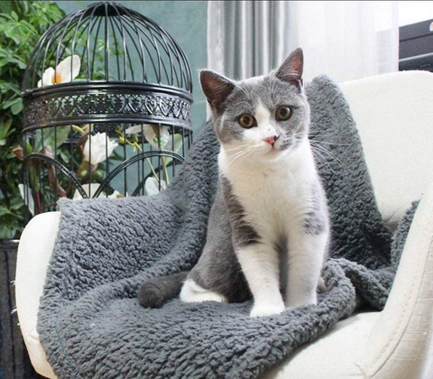Fluffy Fleece Pet Blanket - Soft & Warm Throw for Dogs & Cats