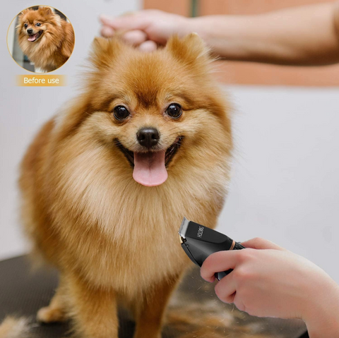Dog Clippers Professional Heavy Duty Dog Grooming Clipper